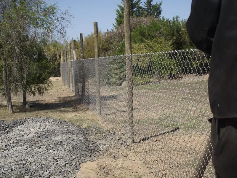 Diamond mesh fencing on wooden posts at rural property