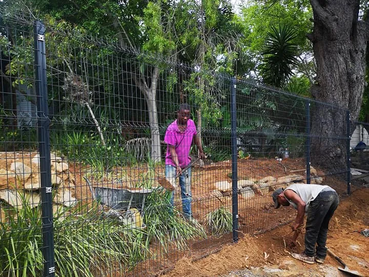 Team installing clearview fencing alongside garden landscaping